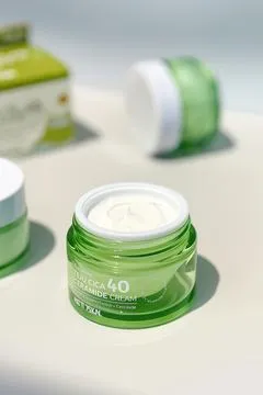 The Pure Jeju Cica 40 Ceramide Cream - PRETTYSKIN